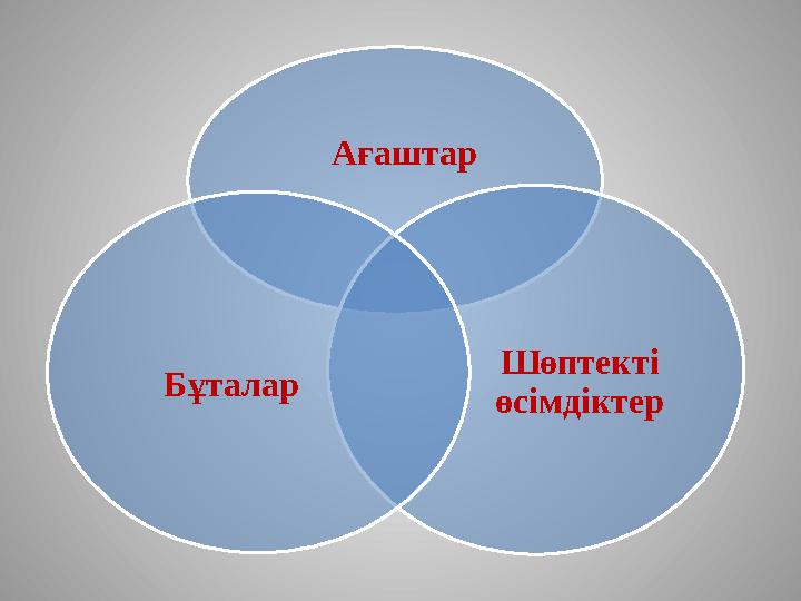 Ағаштар Шөптекті өсімдіктер Бұталар
