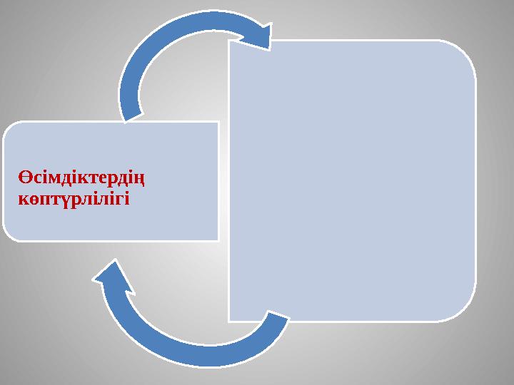 Өсімдіктердің көптүрлілігі