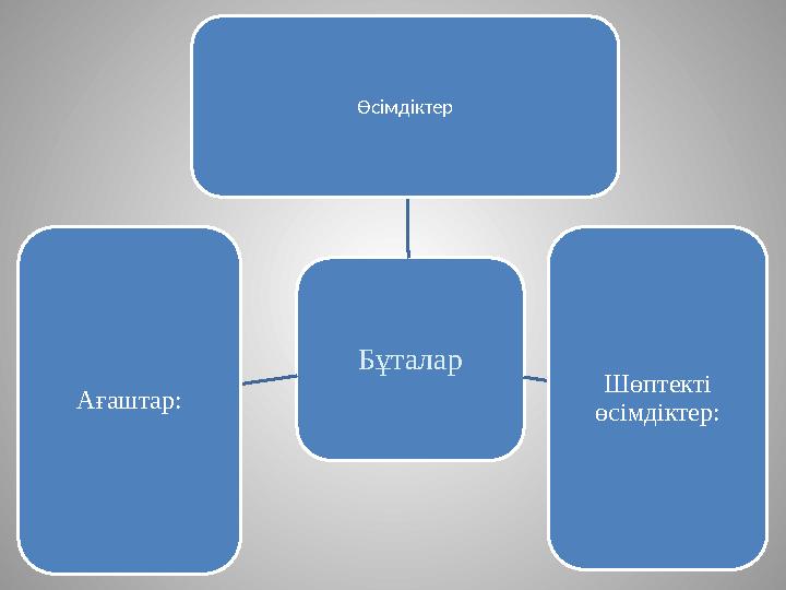 Бұталар Ағаштар: Шөптекті өсімдіктер: Өсімдіктер