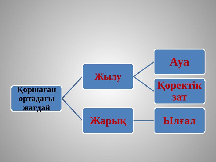 Қоршаған ортадағы жағдай Жылу Ауа Қоректік зат Жарық Ылғал