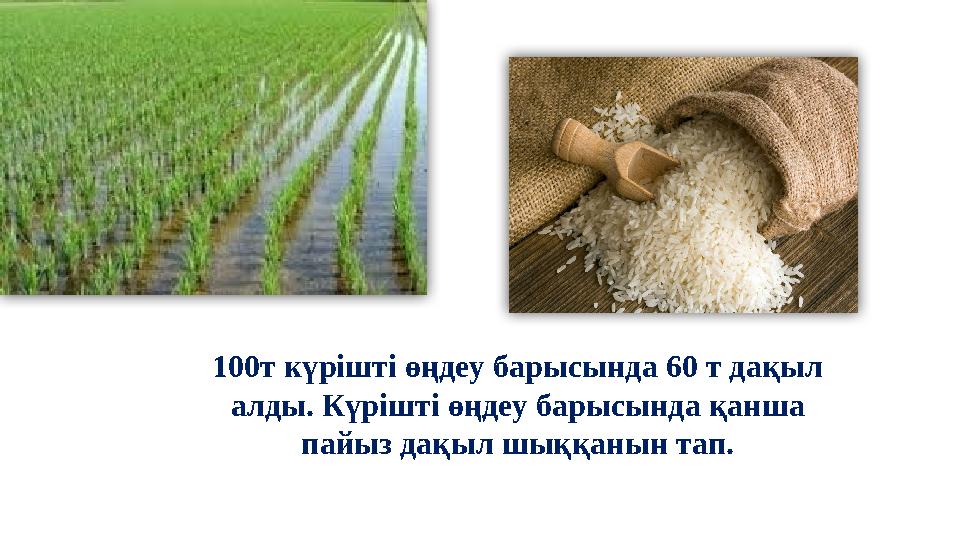 100т күрішті өңдеу барысында 60 т дақыл алды. Күрішті өңдеу барысында қанша пайыз дақыл шыққанын тап.
