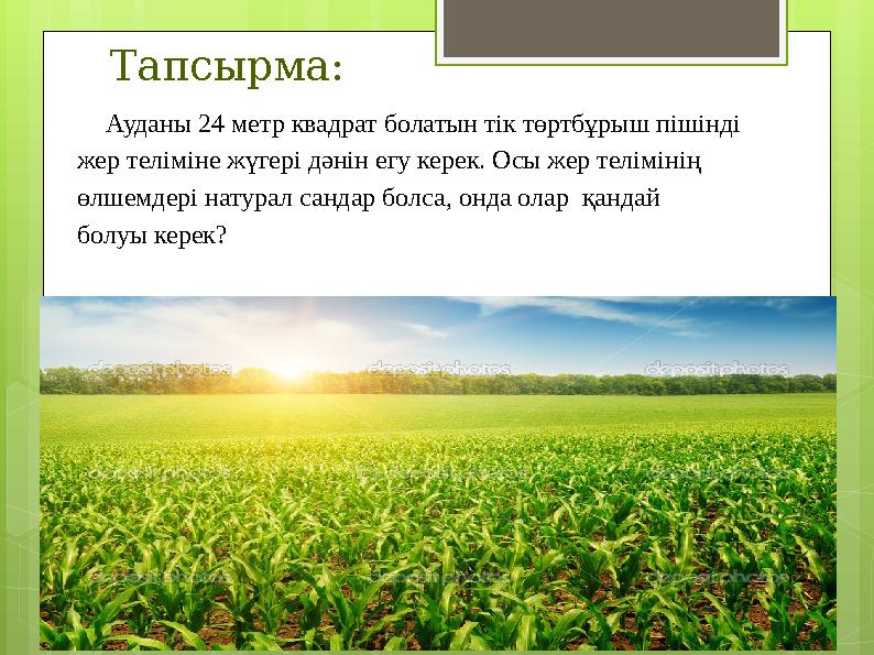 Тапсырма: Ауданы 24 метр квадрат болатын тік төртбұрыш пішінді жер теліміне жүгер
