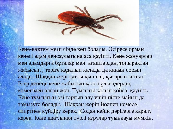 Кене-көктем мезгілінде көп болады. Әсіресе орман кенесі адам денсаулығына аса қауіпті. Кене жануарлар мен адамдарға бұталар ме