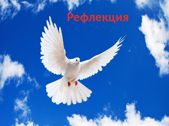 Рефлекция