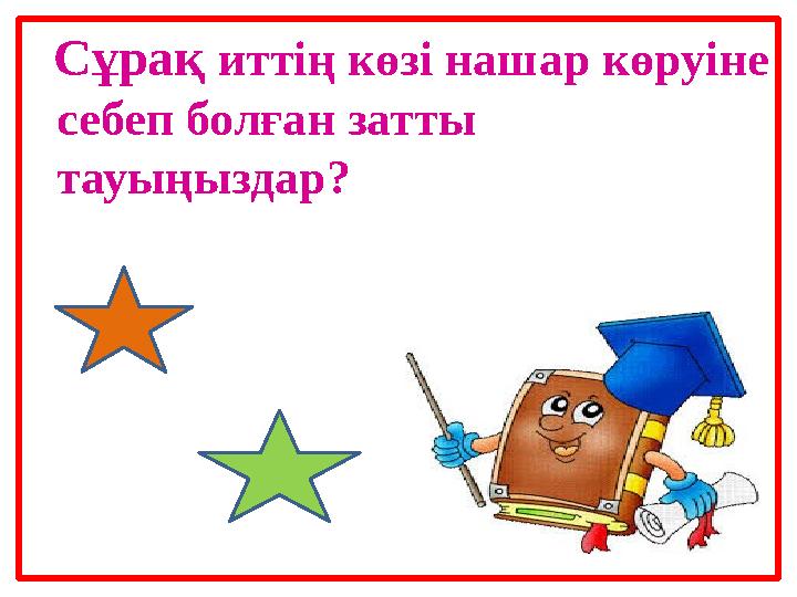 Сұрақ иттің көзі нашар көруіне себеп болған затты тауыңыздар?