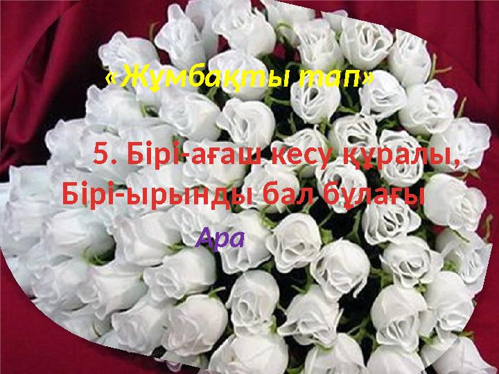 «Жұмбақты тап» 5. Бірі-ағаш кесу құралы, Бірі-ырынды бал бұлағы Ара