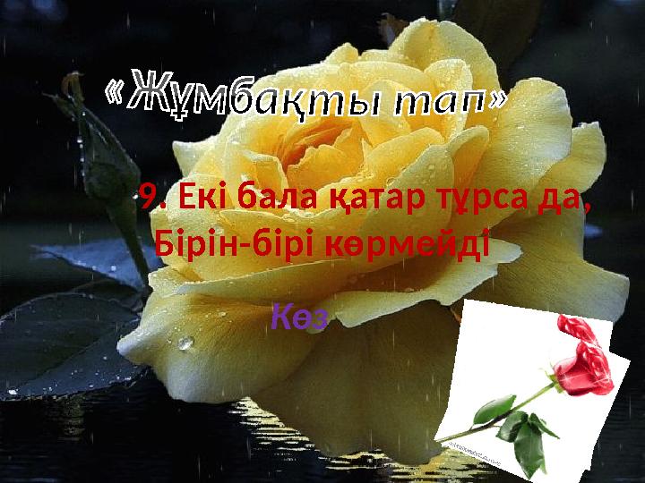 9. Екі бала қатар тұрса да, Бірін-бірі көрмейді Көз