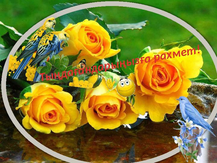 Тыңдағандарыңызға рахмет!