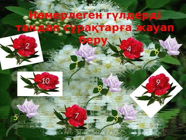 Нөмерлеген гүлдерді таңдап сұрақтарға жауап беру 1 2 4 10 7 9 5 8 6 3