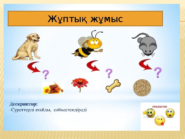 Жұптық жұмыс