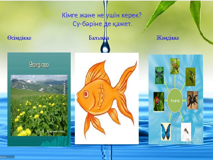 Өсімдікке Балыққа Жәндікке