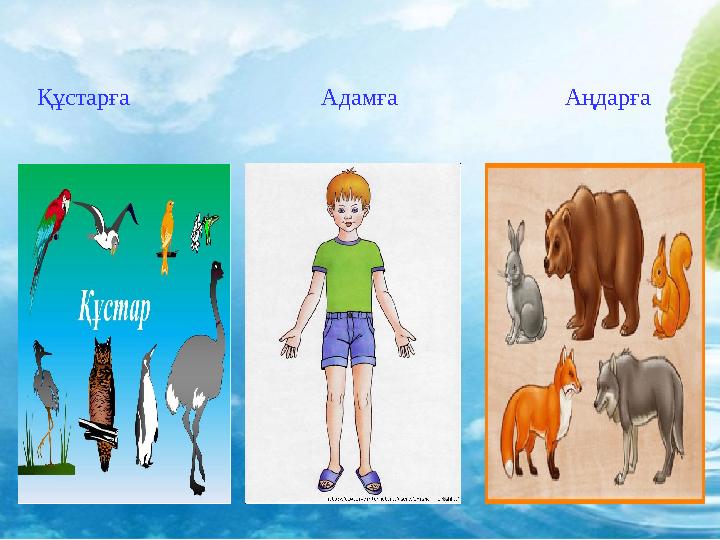 Құстарға Адамға Аңдарға