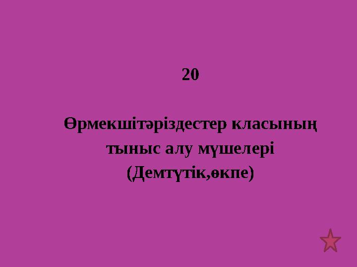 20 Өрмекшітәріздестер класының тыныс алу мүшелері (Демтүтік,өкпе)