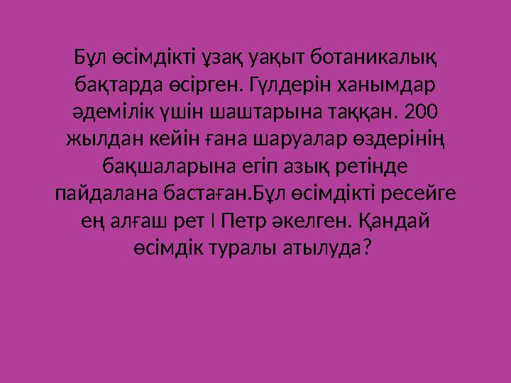 Бұл өсімдікті ұзақ уақыт ботаникалық бақтарда өсірген. Гүлдерін ханымдар әдемілік үшін шаштарына таққан. 200 жылдан кейін ған