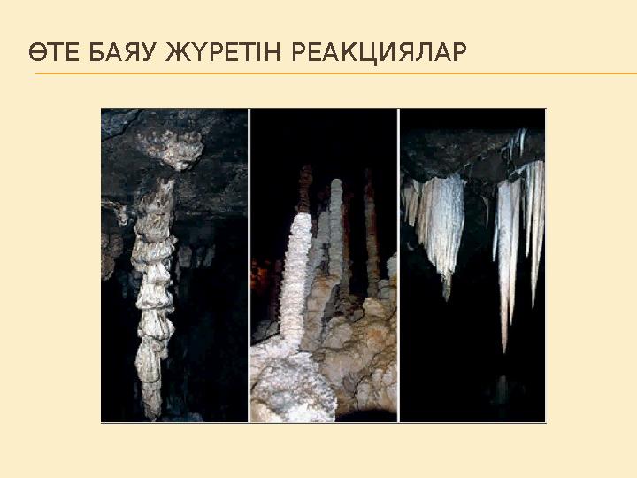 ӨТЕ БАЯУ ЖҮРЕТІН РЕАКЦИЯЛАР