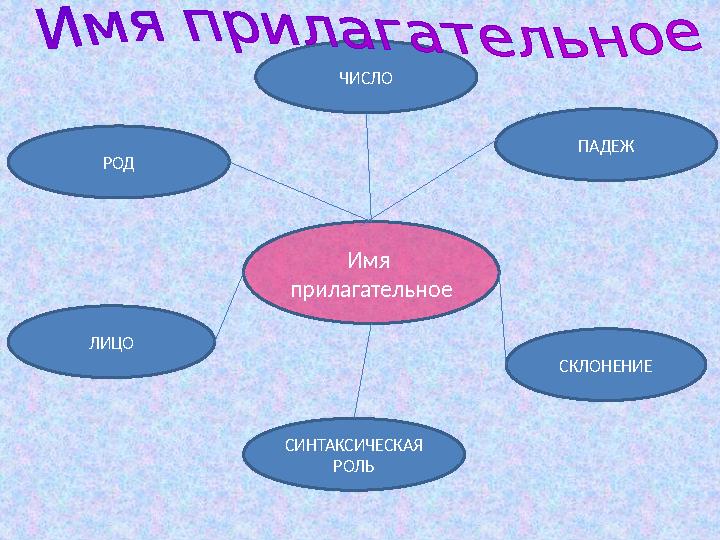 Имя прилагательное СИНТАКСИЧЕСКАЯ РОЛЬ СКЛОНЕНИЕЛИЦО ПАДЕЖЧИСЛО РОД