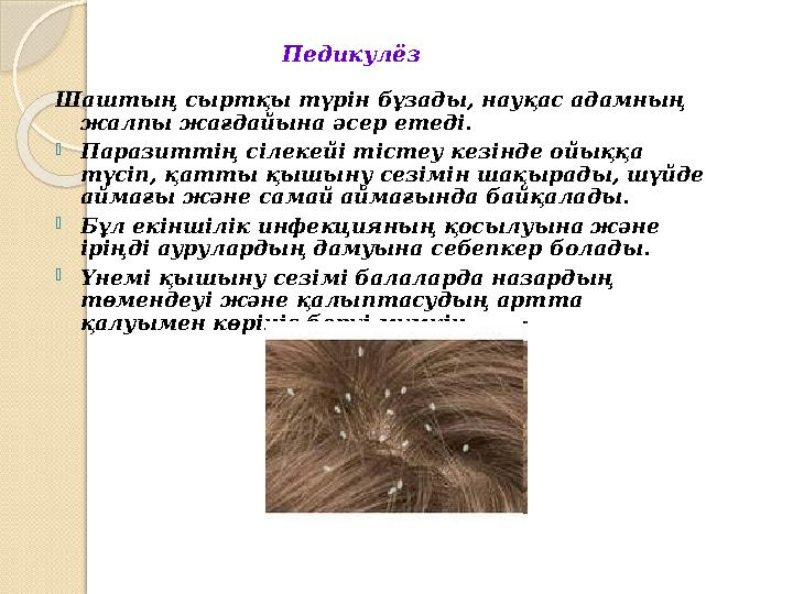 Педикулёз Шаштың сыртқы түрін бұзады, науқас адамның жалпы жағдайына әсер етеді. Паразиттің сілекейі тістеу кезінде ой Педикулёз Шаштың сыртқы түрін бұзады, науқас адамның жалпы жағдайына әсер етеді. Паразиттің сілекейі тістеу кезінде ой