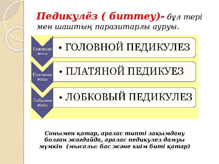 Педикулёз ( биттеу)- бұл тері мен шаштың паразитарлы ауруы. Сонымен қатар, аралас типті зақымдану болған жағдайда, арал Педикулёз ( биттеу)- бұл тері мен шаштың паразитарлы ауруы. Сонымен қатар, аралас типті зақымдану болған жағдайда, арал