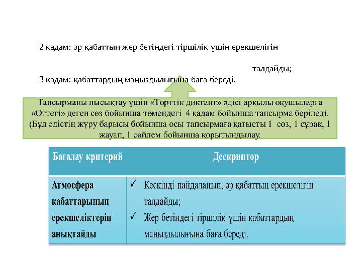 2 қадам: әр қабаттың жер бетіндегі тіршілік үшін ерекшелігін