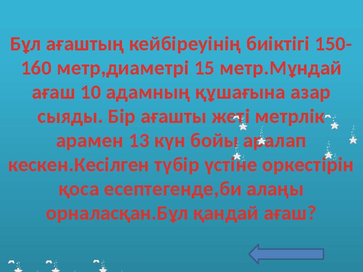 Бұл ағаштың кейбіреуінің биіктігі 150- 160 метр,диаметрі 15 метр.Мұндай ағаш 10 адамның құшағына азар сыяды. Бір ағашты жеті м