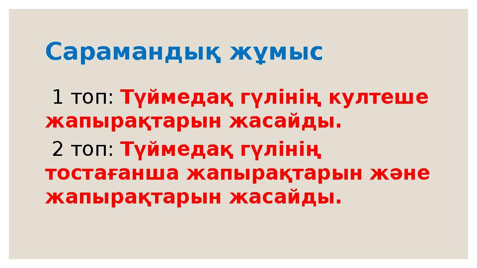 Сарамандық жұмыс 1 топ: Түймедақ гүлінің култеше жапырақтарын жасайды. 2 топ: Түймедақ гүлінің тостағанша жапырақтарын және