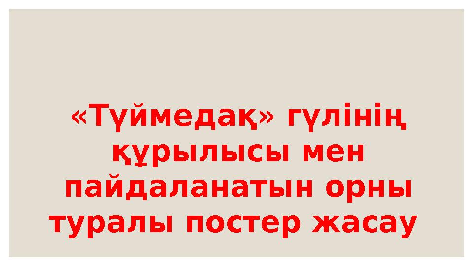 «Түймедақ» гүлінің құрылысы мен пайдаланатын орны туралы постер жасау