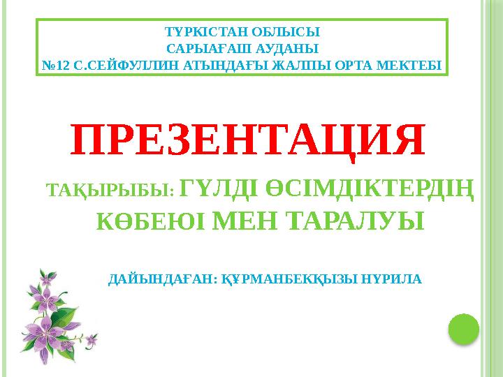 Ересектерге арналған порно фото