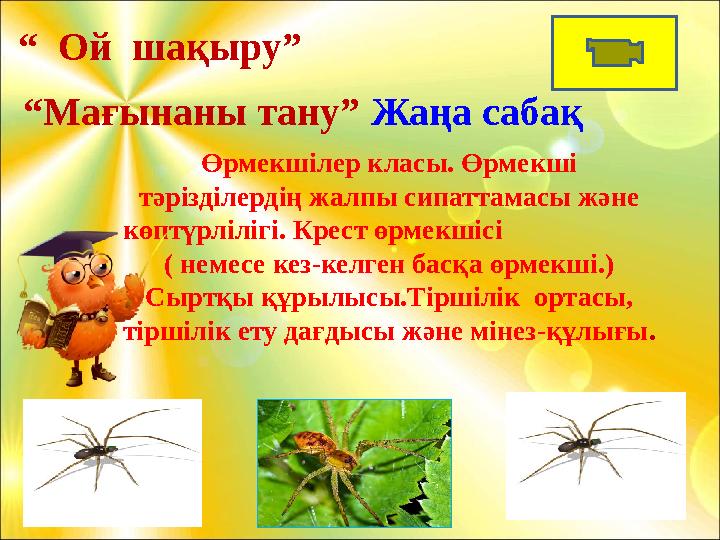 Өрмекшілер класы. Өрмекші тәрізділердің жалпы сипаттамасы және көптүрлілігі. Крест өрмекшісі ( немесе к Өрмекшілер класы. Өрмекші тәрізділердің жалпы сипаттамасы және көптүрлілігі. Крест өрмекшісі ( немесе к