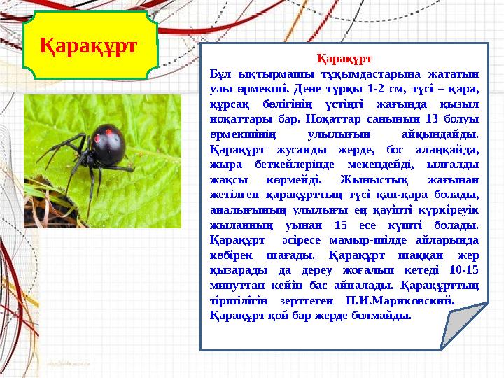 Қарақұрт Қарақұрт Бұл ықтырмашы тұқымдастарына жататын улы өрмекші. Дене тұрқы 1-2 см, түсі – қара, құрсақ бөлігінің үстіңгі ж Қарақұрт Қарақұрт Бұл ықтырмашы тұқымдастарына жататын улы өрмекші. Дене тұрқы 1-2 см, түсі – қара, құрсақ бөлігінің үстіңгі ж