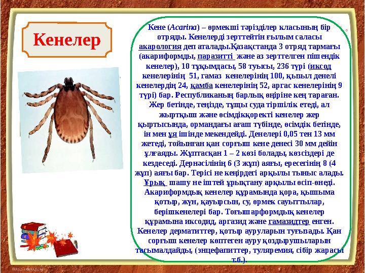 ККенелер Кене (Acarіna) – өрмекші тәрізділер класының бір отряды. Кенелерді зерттейтін ғылым саласы акарология деп аталады.Қаз ККенелер Кене (Acarіna) – өрмекші тәрізділер класының бір отряды. Кенелерді зерттейтін ғылым саласы акарология деп аталады.Қаз