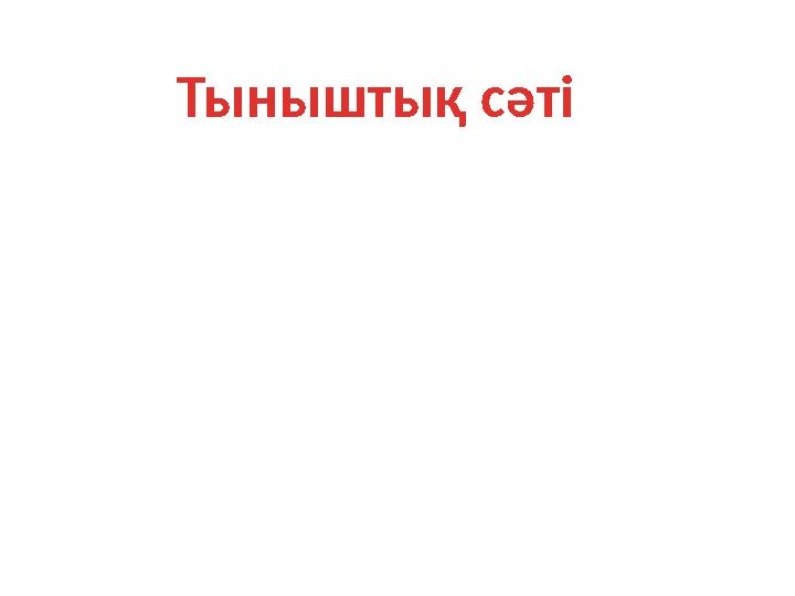 Тыныштық сәті