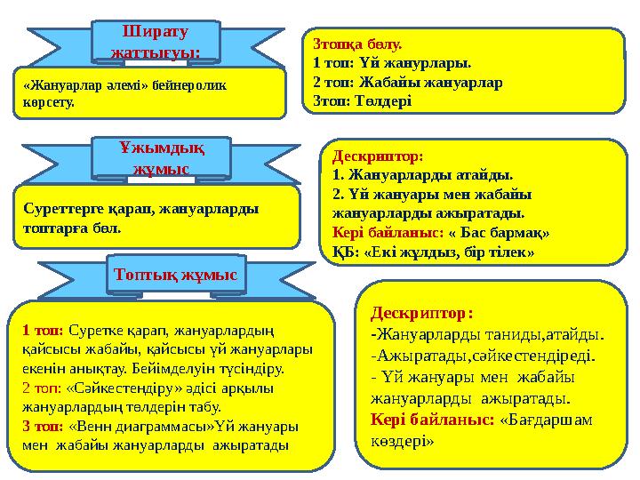 «Жануарлар әлемі» бейнеролик көрсету. Суреттерге қарап, жануарларды топтарға