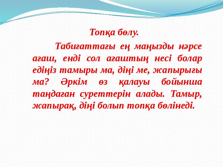 Топқа бөлу. Табиғаттағы ең маңызды нәрсе ағаш, енді сол ағаштың несі болар едіңіз тамыры ма, діңі ме, жапырығы ма? Ә