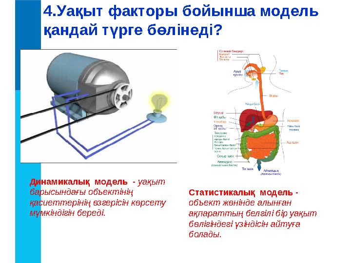 4. Уақыт факторы бойынша модель қандай түрге бөлінеді? Динамикалық модель - уақыт барысындағы объектінің қасиеттерінің өзг