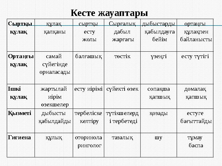 Сыртқы құлақ құлақ қалқаны сыртқы есту жолы Сырғалық дабыл жарғағы дыбыстарды қабылдауға бейім ортаңғы құлақпен байланы