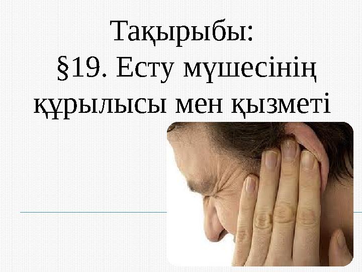 Та қырыбы: §19. Есту мүшесінің құрылысы мен қызметі