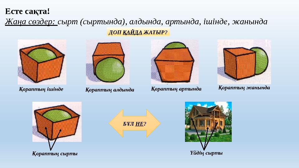 Есте сақта! Жаңа сөздер: сырт (сыртында), алдында, артында, ішінде, жанында ДОП ҚАЙДА ЖАТЫР? Қораптың ішінде Қораптың алдында Қо