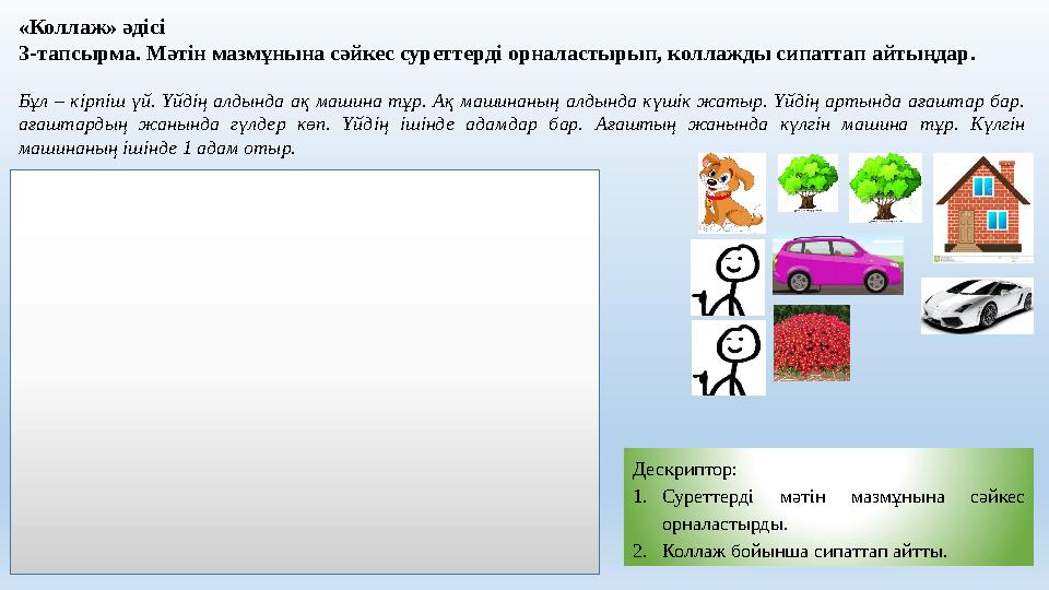 Ең әдемі кискалардың бейнелері