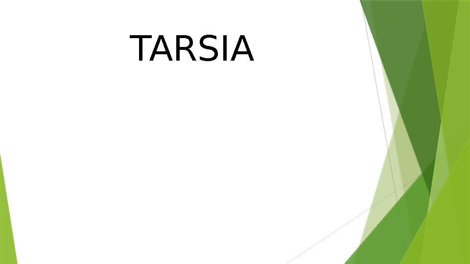 TARSIA