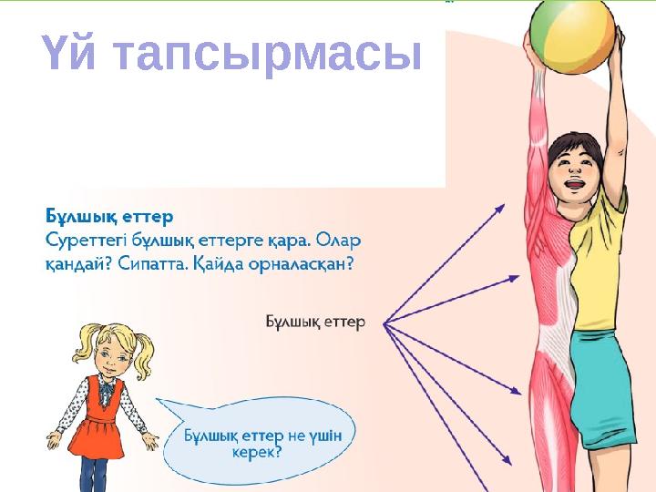 Үй тапсырмасы