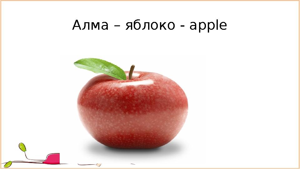 Алма – яблоко - apple