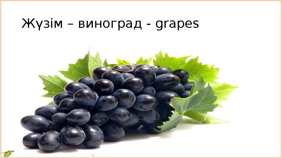 Жүзім – виноград - grapes