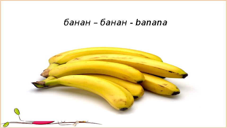 банан – банан - banana