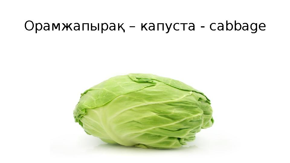 Орамжапырақ – капуста - cabbage