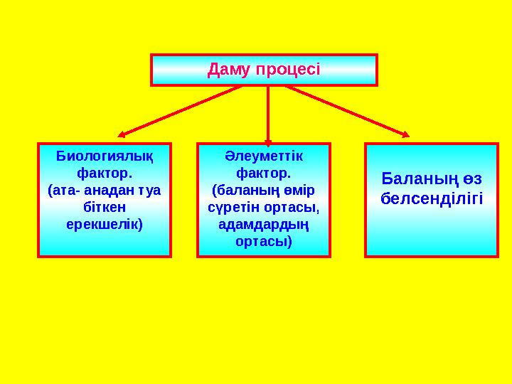 Даму процесі Биологиялық фактор. (ата- анадан туа біткен ерекшелік) Әлеуметтік фактор. (баланың өмір сүретін ортасы, адамд