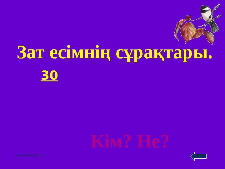 30 www.ZHARAR.com Зат есімнің сұрақтары. Кім? Не?