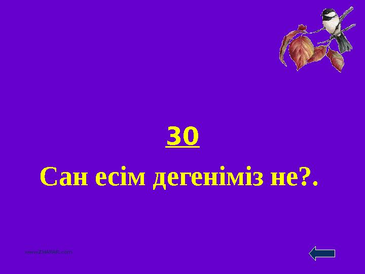 30 Сан есім дегеніміз не?. www.ZHARAR.com