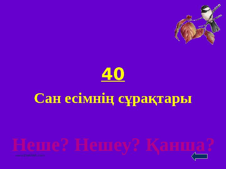 40 Сан есімнің сұрақтары www.ZHARAR.comНеше? Нешеу? Қанша?