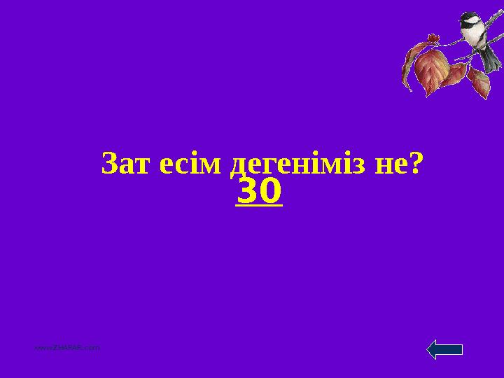 30 www.ZHARAR.com Зат есім дегеніміз не?