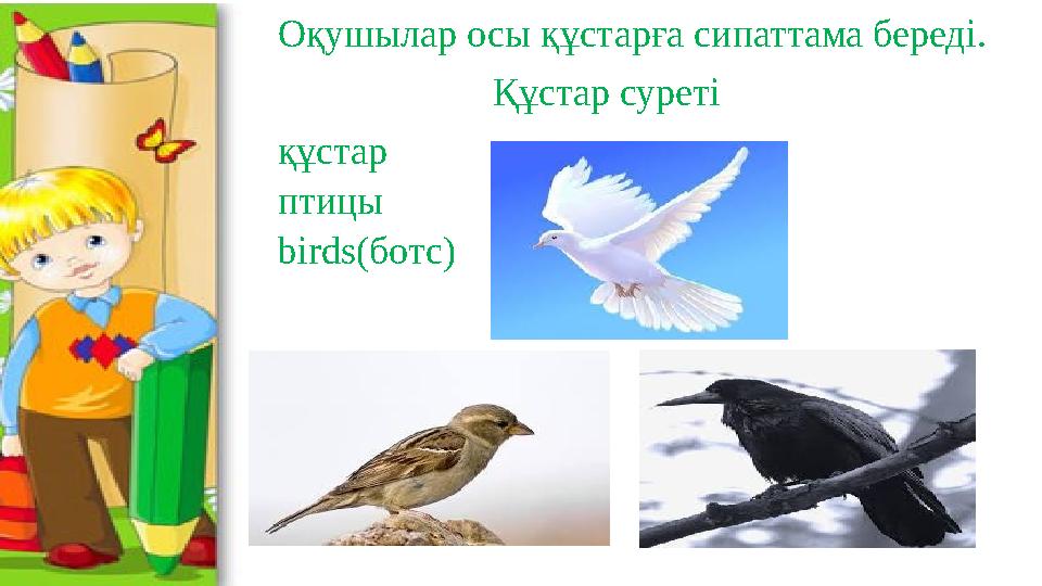 Оқушылар осы құстарға сипаттама береді. Құстар суреті құстар птицы birds(ботс)